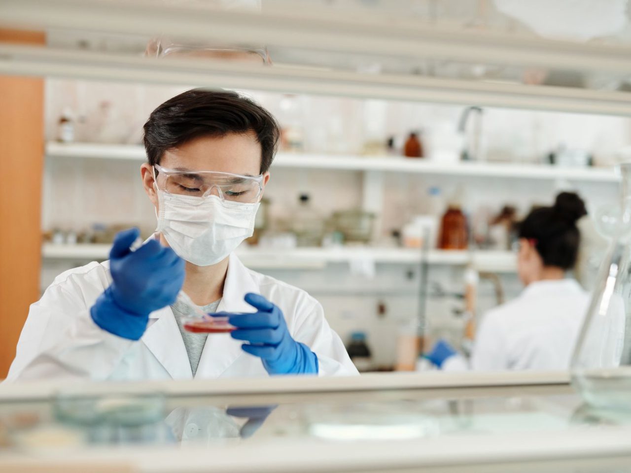 A laboratory technician in a lab coat, mask, and gloves examining a specimen sample.
